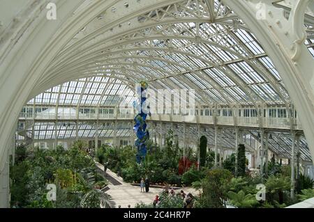 Im Inneren des gemäßigten Hauses, Kew Gardens, England Stockfoto