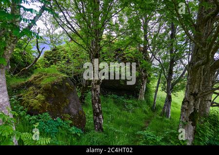 Nupsstadur, malerischer alter Bauernhof im Südosten Islands Stockfoto