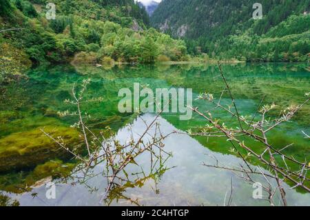 Schöne und frische Landschaft Landschaft im Tal mit Blick auf die Berge, Reflexion von kristallklarem See mit Algen und Bäumen perfekt für Geist relaxi Stockfoto