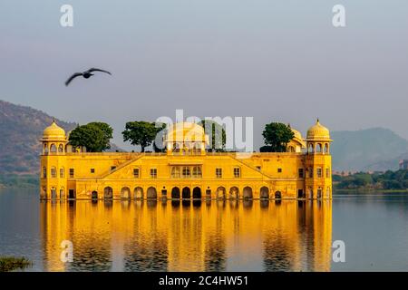 Der Blick auf Jal Mahal mit Vögeln schwimmen in der Front, Jaipur, Rajasthan, Indien Stockfoto