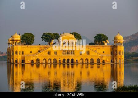 Der Blick auf Jal Mahal mit Vögeln schwimmen in der Front, Jaipur, Rajasthan, Indien Stockfoto