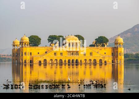 Der Blick auf Jal Mahal mit Vögeln schwimmen in der Front, Jaipur, Rajasthan, Indien Stockfoto