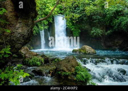 Hermon Stream - Banias Stream- ahal Hermon auch bekannt als Nahal Banias ist ein Fluss in den Golan Höhen. Es ist das östlichste der drei wichtigsten nördlichen Stockfoto