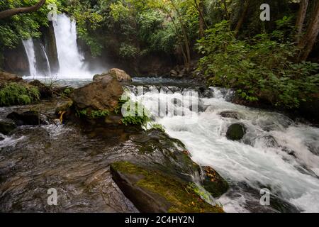 Hermon Stream - Banias Stream- ahal Hermon auch bekannt als Nahal Banias ist ein Fluss in den Golan Höhen. Es ist das östlichste der drei wichtigsten nördlichen Stockfoto