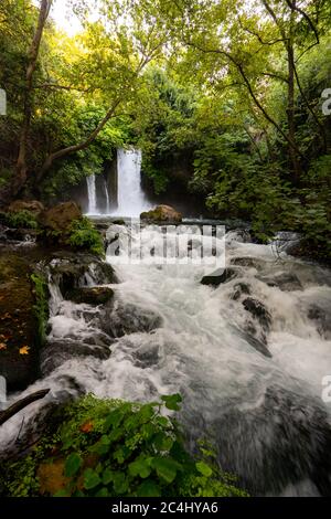 Hermon Stream - Banias Stream- ahal Hermon auch bekannt als Nahal Banias ist ein Fluss in den Golan Höhen. Es ist das östlichste der drei wichtigsten nördlichen Stockfoto