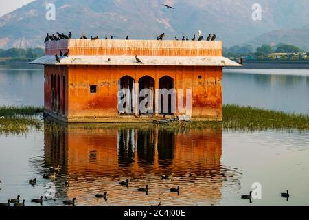 Ein Schwarm von Vögeln sitzt auf einem Pavillon vor dem Jal Mahal, Jaipur, Rajasthan, Indien Stockfoto