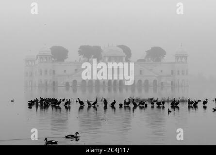 Der Blick auf Jal Mahal mit Vögeln schwimmen in der Front, Jaipur, Rajasthan, Indien Stockfoto