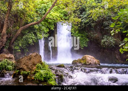 Hermon Stream - Banias Stream- ahal Hermon auch bekannt als Nahal Banias ist ein Fluss in den Golan Höhen. Es ist das östlichste der drei wichtigsten nördlichen Stockfoto