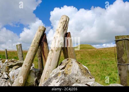 Flacher Fokus einer improvisierten Kletterstufe über einer sehr alten Steinwand im Herzen der Yorkshire Dales. Stockfoto