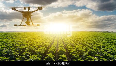 Moderne Smart Farm mit Drohne. Digitale Transformation in der Landwirtschaft und Smart Farming Stockfoto