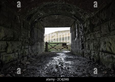 Dunkler und nasser Steinarbeitstunnel unter der berühmten Bahnlinie Leeds nach Carlisle. Zeigt ein entferntes Farmtor und die Dales dahinter. Stockfoto