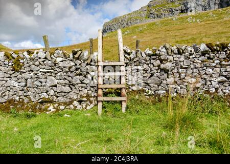 Flacher Fokus einer improvisierten Kletterstufe über einer sehr alten Steinwand im Herzen der Yorkshire Dales. Stockfoto