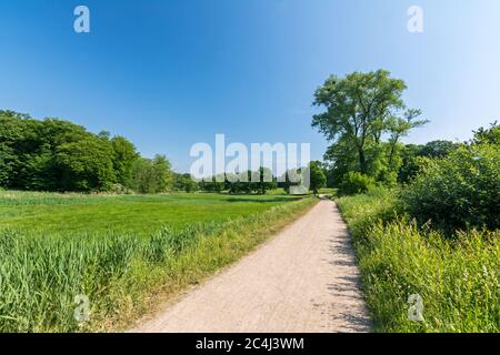 Fußweg in einem schönen grünen Park an einem sonnigen Tag im Sommer Stockfoto
