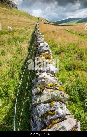 Die sanften Hügel der Yorkshire Dales, die innerhalb von Felswänden gesehen werden und so individuelle Weiden für Schafe und andere Tiere schaffen. Stockfoto