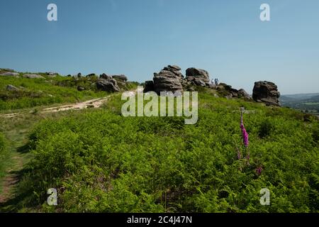 Fußweg, der bis zu den Felsen am Froggatt Edge, Peak District, Großbritannien, führt Stockfoto