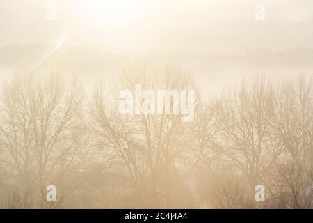 Schöner Sonnenaufgang über Bäumen und Hügeln an einem nebligen Tag Stockfoto