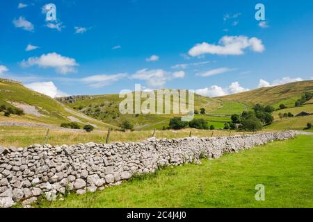 Die sanften Hügel der Yorkshire Dales, die innerhalb von Felswänden gesehen werden und so individuelle Weiden für Schafe und andere Tiere schaffen. Stockfoto