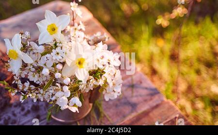 Stahlkessel mit Kirschblütenspalten, Birnen und Apfelbäumen auf einem natürlichen, unscharfen Hintergrund. Draufsicht. Mit Kopierbereich. Stockfoto