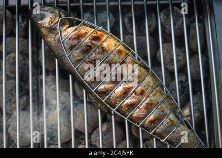 Frische Regenbogenforelle mit Kräutern und Gewürzen zum grillen Stockfoto