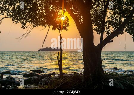 Ein wunderschöner Sonnenaufgang und der Baum am Weißen Strand, Koh Rong, Kambodscha Stockfoto