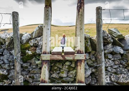 Flacher Fokus einer hölzernen, öffentlichen Brücke, die eine traditionelle Steinmauer in den Dales überspannt. Eine Frau kann man auf der anderen Seite, auf einer Wanderung sehen. Stockfoto