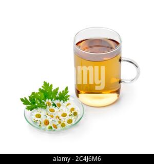 Glas Kräutertee mit frischen Feverfew Blumen auf einem Teller isoliert auf weißem Hintergrund Stockfoto