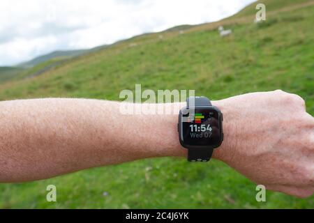 Erwachsener Mann, der einen beliebten Fitness-Tracker am linken Handgelenk trägt. Der Mann ist ein Trailrunner und schaut in angezeigte Statistiken. Stockfoto