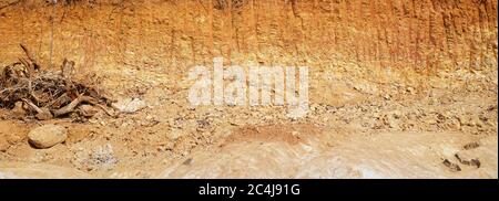 Entwaldung nah an Wurzeln, Felsen, die im Sonnenlicht zeigen. Rote und gelbe Felsen, in denen Boden aus Wald mit einem Bagger in den Bauen gegraben wurde Stockfoto