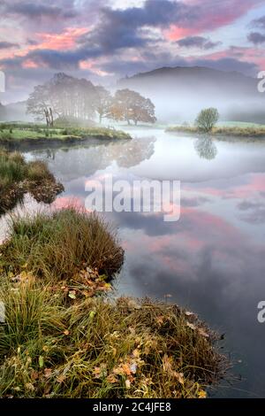 Schöner Sonnenaufgang an EINEM ruhigen und mistigen Herbstmorgen am Fluss Brithay im Lake District, Großbritannien. Stockfoto