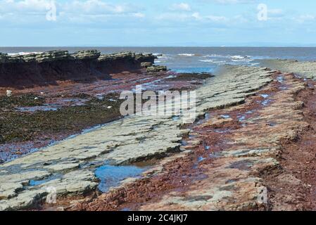 Blick über den Strand und die Felsvorsprünge in der St Audries Bay an der Somerset-Küste bei Doniford. Teil des England Coast Path - Südwesten. Stockfoto