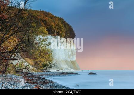 Kreidefelsen auf der Insel Rügen. Küste im Herbst am Morgen. Bäume und steinige Küste mit Blättern und glatter Wasseroberfläche Stockfoto