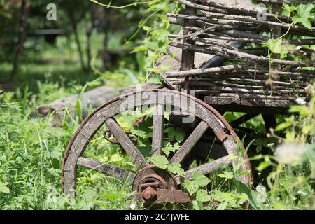 Großes altes Holzrad des alten Karren. Dies ist ein Fragment eines alten Holzwagens im Hinterhof. Stockfoto