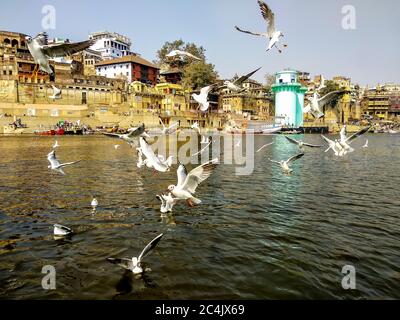 River Ganges, Varanasi, Uttar Pradesh, Indien; 30-Jan-2019; Sibirische Zugvögel über Fluss Ganges in Varanasi, Uttar Pradesh, Indien Stockfoto