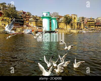 River Ganges, Varanasi, Uttar Pradesh, Indien; 30-Jan-2019; Sibirische Zugvögel über Fluss Ganges in Varanasi, Uttar Pradesh, Indien Stockfoto