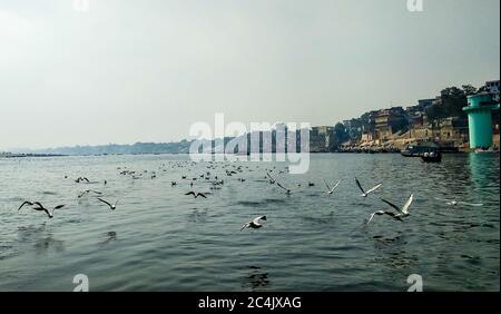 Sibirische Zugvögel fliegen über den Fluss Ganges in Varanasi, Uttar Pradesh, Indien Stockfoto