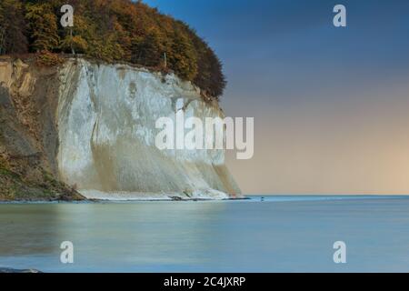 Kreidefelsen in der Piratenbucht am Morgen aus dem Nationalpark Jasmund. Rügen Insel mit umgestürzten Bäumen auf Kreidefelsen im Herbst. Kein Schwellen mit Stockfoto