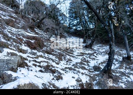 Schneebedeckte Berghänge, Hatu Peak, Narkanda, Himachal Pradesh, Indien - eine Aussicht auf die Straße während des Trekkings zum Agyaat Vaas Resort Stockfoto