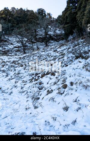 Schneebedeckte Berghänge, Hatu Peak, Narkanda, Himachal Pradesh, Indien - eine Aussicht auf die Straße während des Trekkings zum Agyaat Vaas Resort Stockfoto