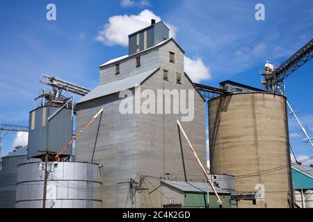 Getreidesilos, Ritzville, Washington State, USA Stockfoto