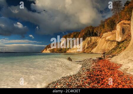 Rügen Insel mit den Kreidefelsen am Morgen. Morgensonne nach Sonnenaufgang Küste im Herbst mit Sonnenschein. Bäume und steinigen Küste mit Laub und cl Stockfoto