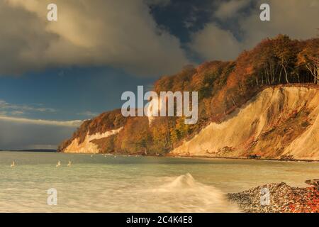 Küstenabschnitt auf der Insel Rügen vom Nationalpark Jasmund. Ostseeküste am Morgen mit Blick in Piratenbucht zur Herbststimmung w Stockfoto