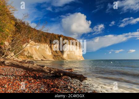 Nationalpark Jasmund auf der Insel Rügen. Kreidefelsen im Sonnenschein und blauer Himmel mit Wolken an der Ostseeküste. Bäume und Strandabschnitt Stockfoto