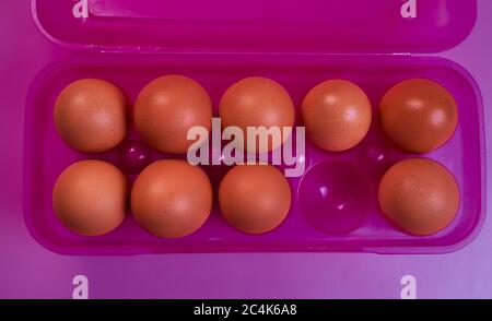 Hühnereier mit Plastikbox auf rosa Hintergrund. Konzeptfoto. Stockfoto