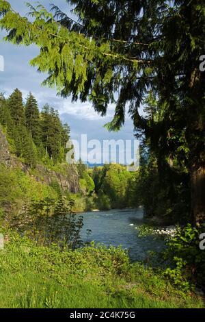 Skykomish River, Stevens Pass Scenic Highway, US-Bundesstaat Washington, USA Stockfoto