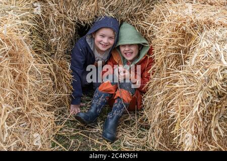 Zwei Kinder spielen in einem Heuhaufen Stockfoto