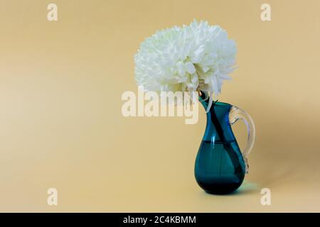 Weiße Chrysantheme in einer blauen Vase auf beigem Hintergrund. Stockfoto