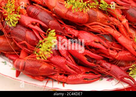 Traditionelle schwedische Langusten, Hummer und Krabben Partei Abendessen Stockfoto