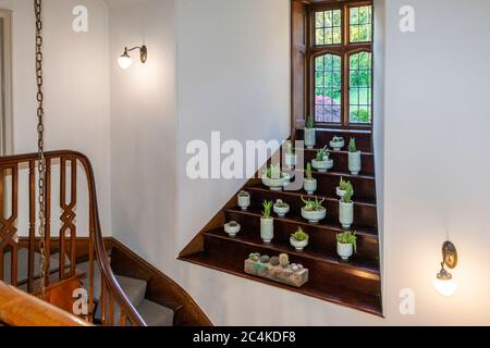 Dekorationsinspirationen finden sich in jeder Ecke eines Hauses, das von Olga Polizzi entworfen wurde. Hier Fenster mit Kaktussammlung im Hotel Endsleigh in West Devon, England. Stockfoto