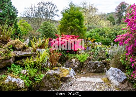 Endsleigh Hotel Garden in West Devon, England Stockfoto