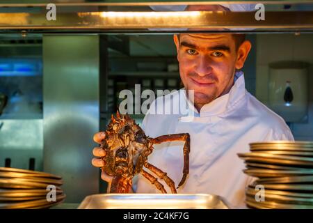 Ein Koch zeigt die Spinnenkrabbe zum Abendessen im Hotel Tresanton Stockfoto
